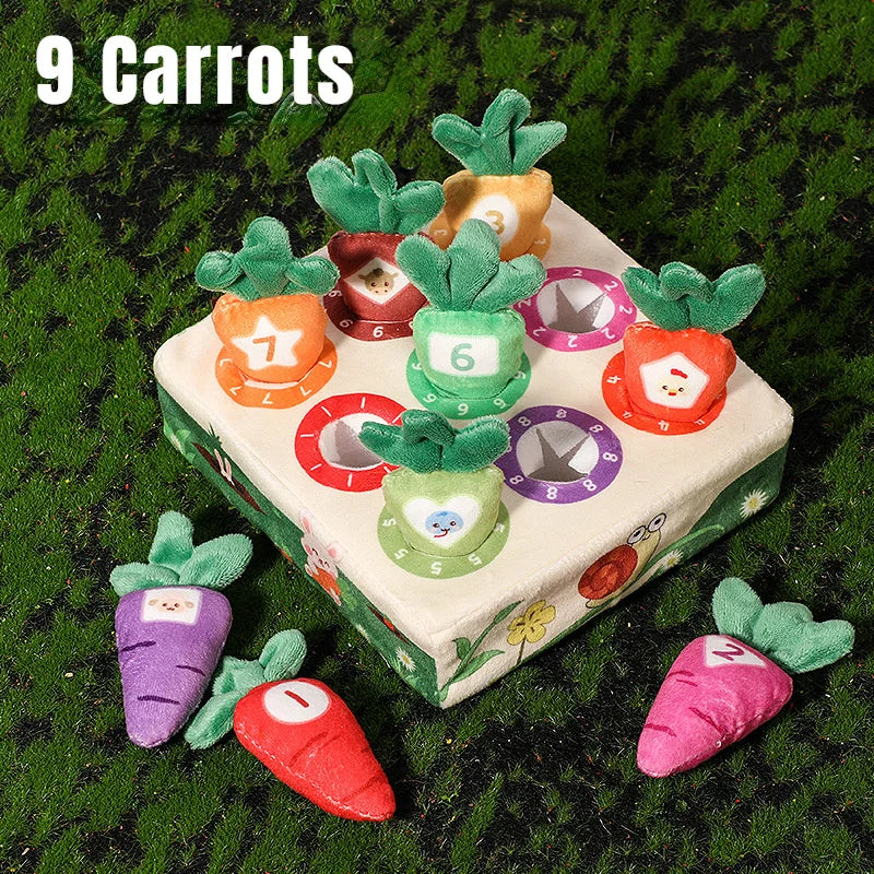 Montessori Baby Toy